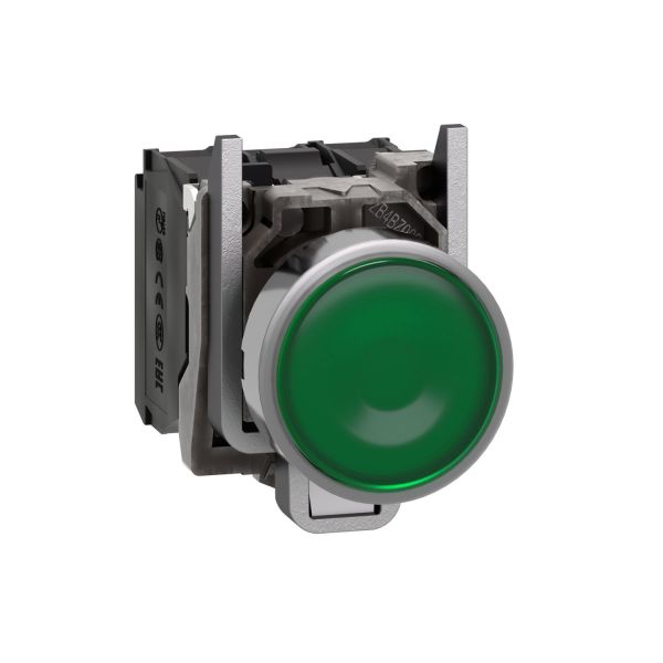 SCHNEIDER XB4BW33B5 - Pulsante luminoso verde O22 - filoghiera ad impulso - 24V - 1NO+1NC - LED universale