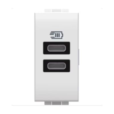 BTICINO N4191CC - LivingLight - Caricatore USB tipo C con 2 uscite tensione 5 Vdc - Bianco